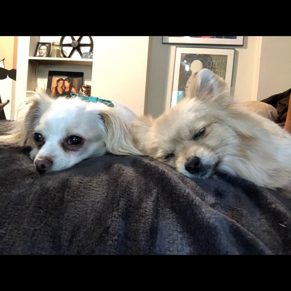 Meet your Posher, Michaela